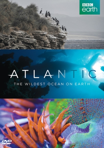 Атлантика: Самый необузданный океан на Земле все выпуски / Atlantic: The Wildest Ocean on Earth (2015)
